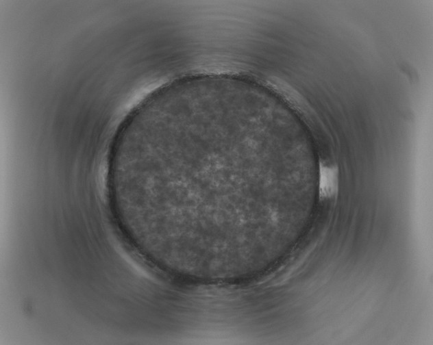 X0000113880627200910151314