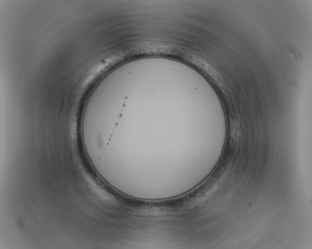 X0000113880629200910151314