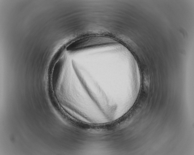 X0000113880630200910151314