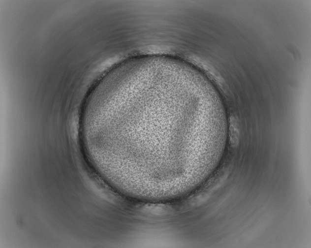 X0000113880631200910151314