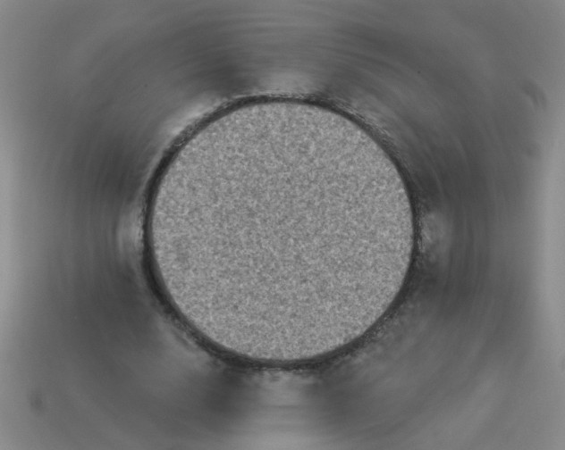 X0000113880632200910151314