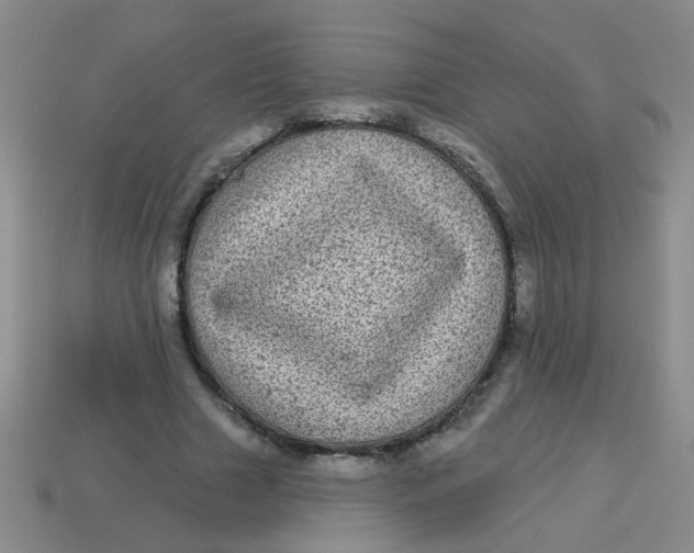 X0000113880633200910151314