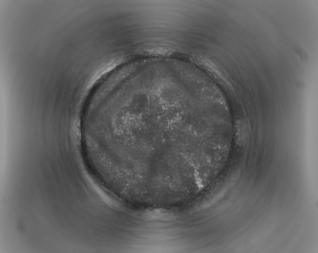 X0000113880634200910151314