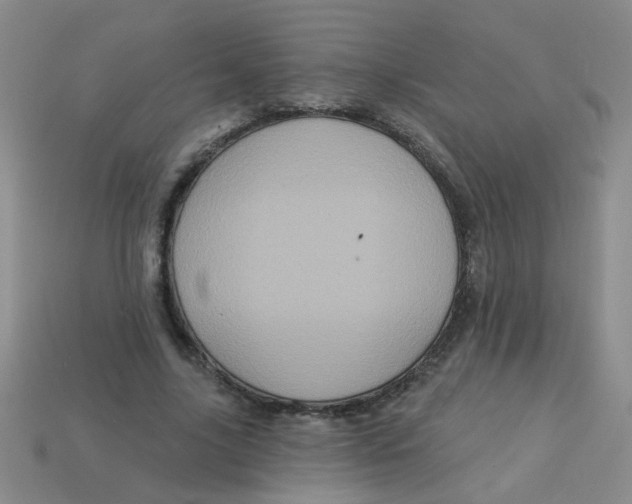 X0000113880635200910151314