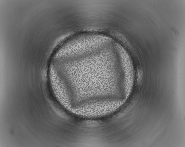 X0000113880636200910151314