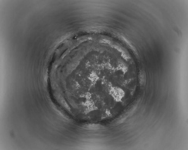 X0000113880637200910151314