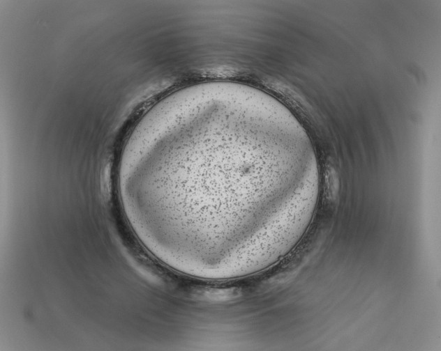 X0000113880638200910151314