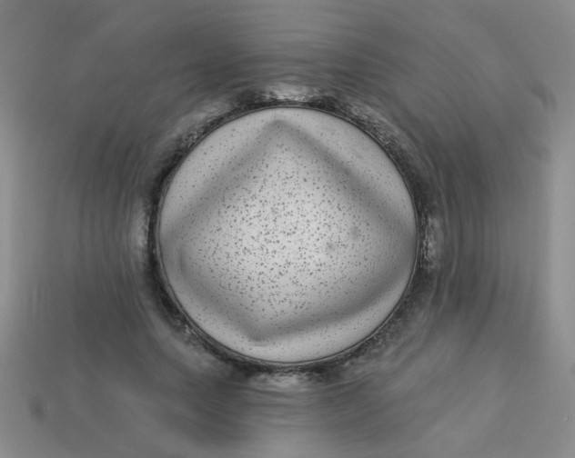 X0000113880639200910151314