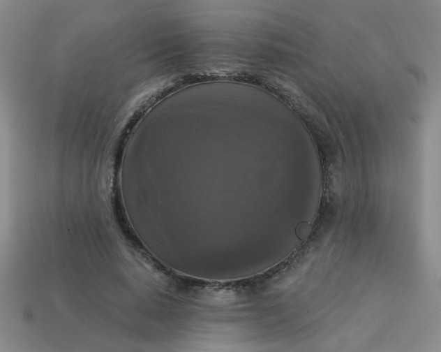 X0000113880640200910151314