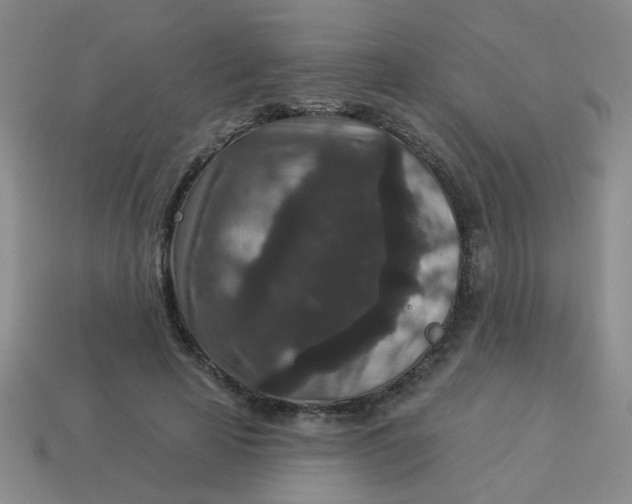 X0000113880641200910151314