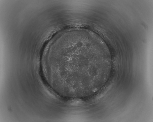 X0000113880642200910151314