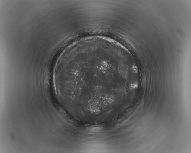 X0000113880643200910151314