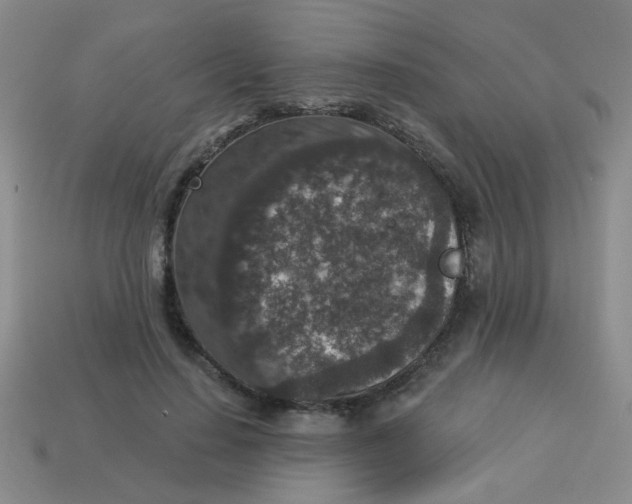 X0000113880644200910151314