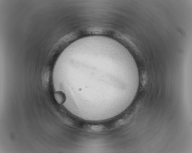 X0000113880645200910151314