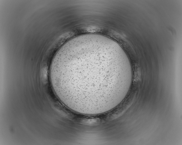 X0000113880646200910151314