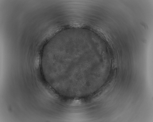 X0000113880647200910151314