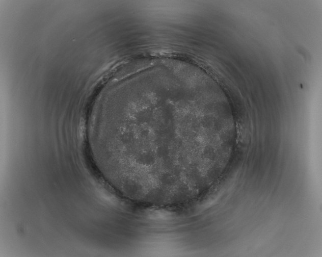 X0000113880648200910151314