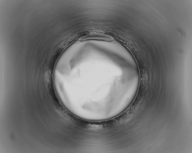 X0000113880649200910151314