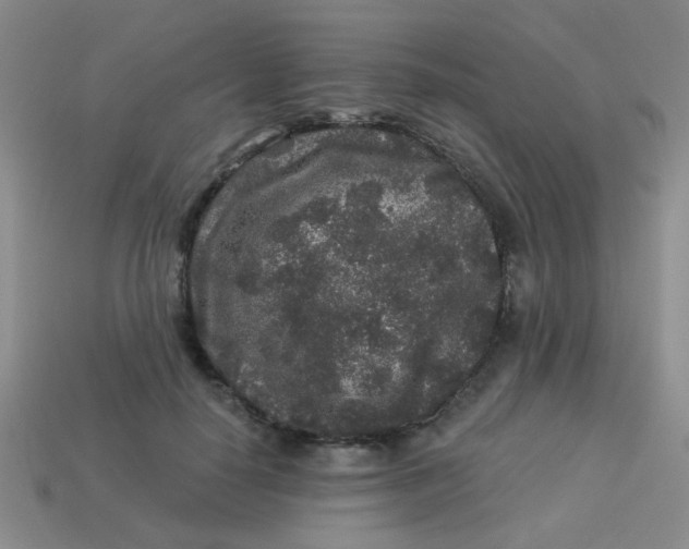 X0000113880650200910151314