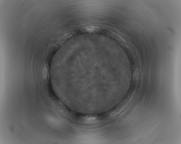 X0000113880651200910151314