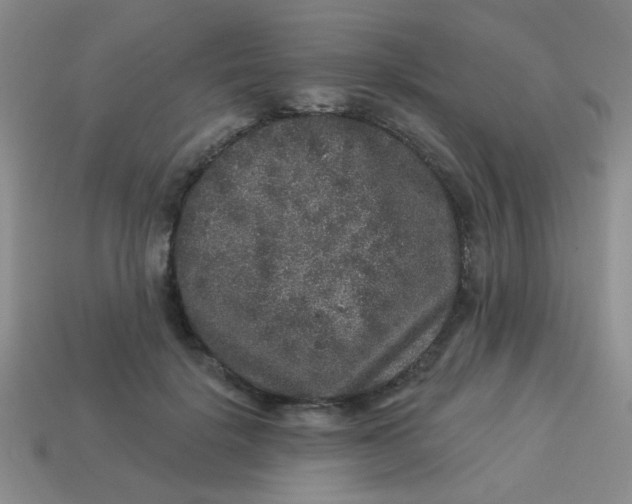 X0000113880652200910151314