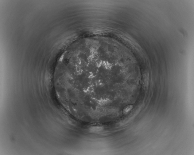 X0000113880653200910151314