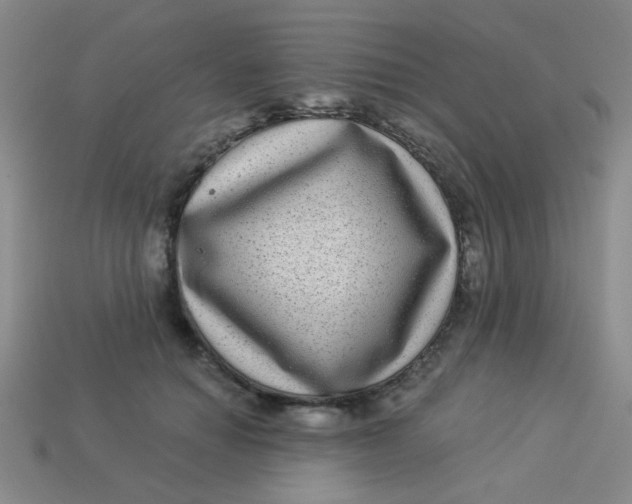 X0000113880654200910151314