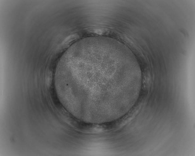 X0000113880656200910151314