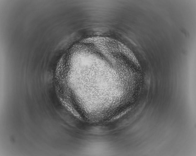 X0000113880657200910151314