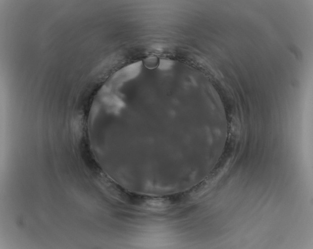 X0000113880659200910151314