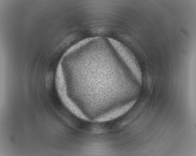 X0000113880660200910151314