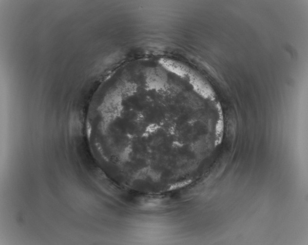 X0000113880661200910151314