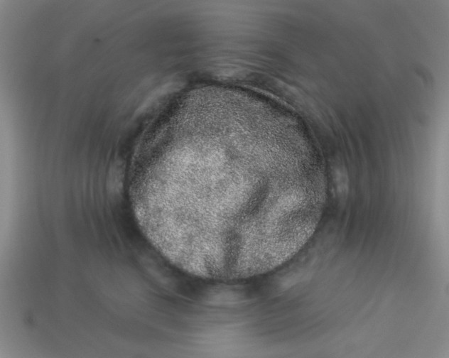 X0000113880664200910151314