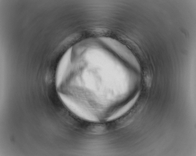 X0000113880665200910151314