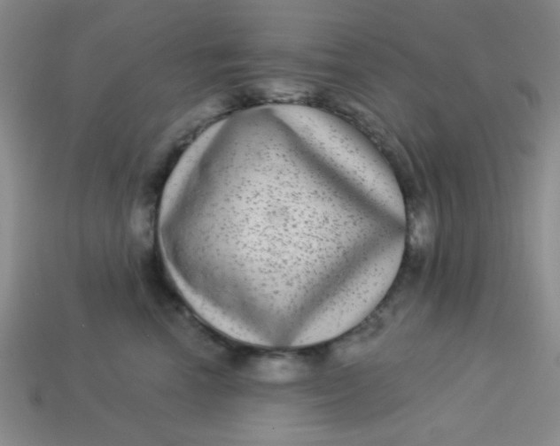 X0000113880666200910151314