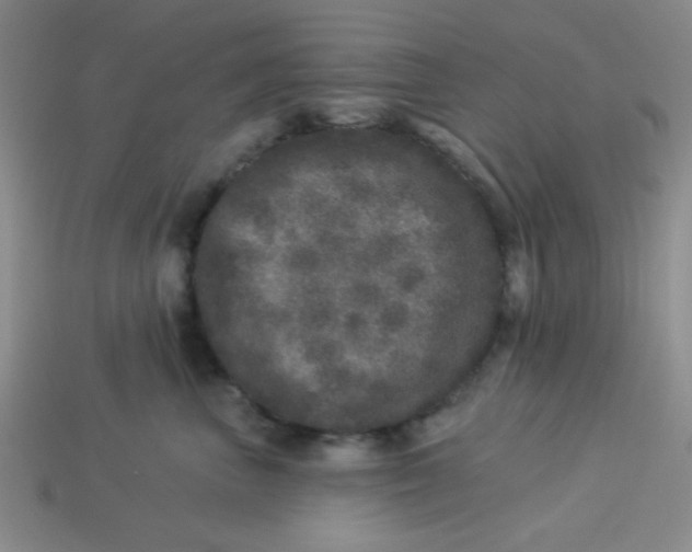 X0000113880667200910151314