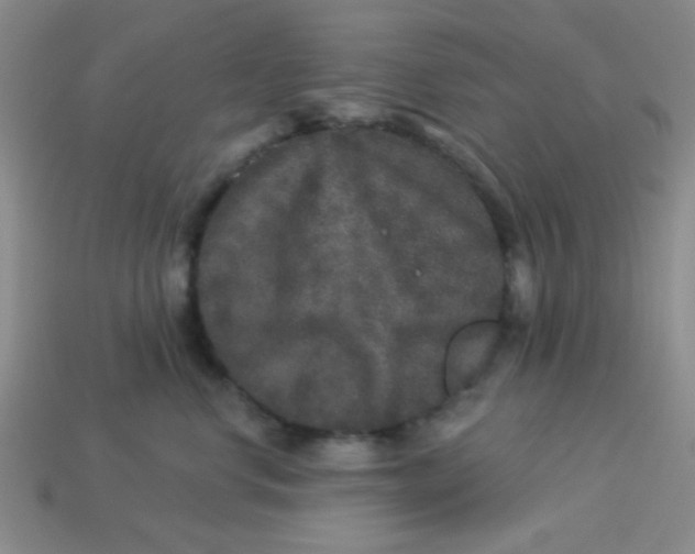 X0000113880668200910151314