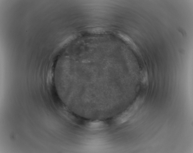 X0000113880669200910151314