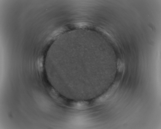 X0000113880670200910151314