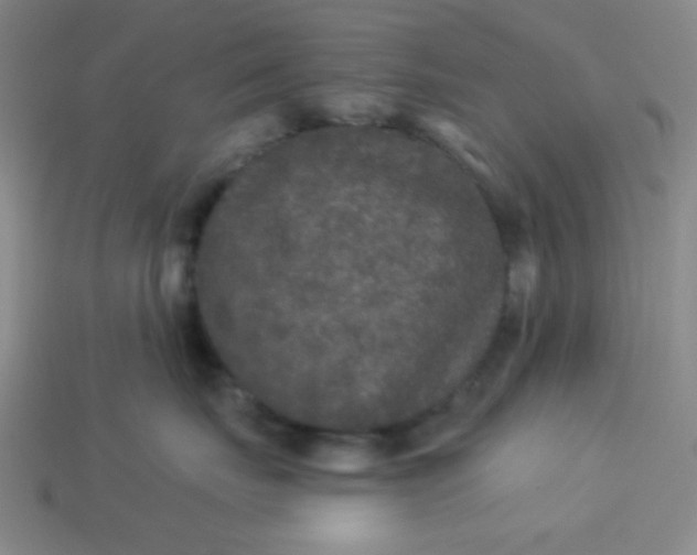 X0000113880671200910151314