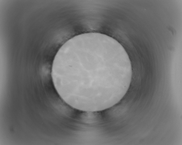 X0000113880672200910151314