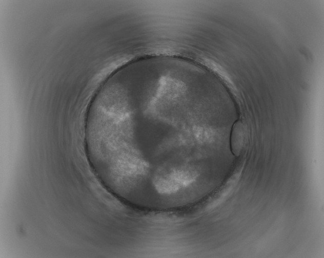 X0000113880673200910151314