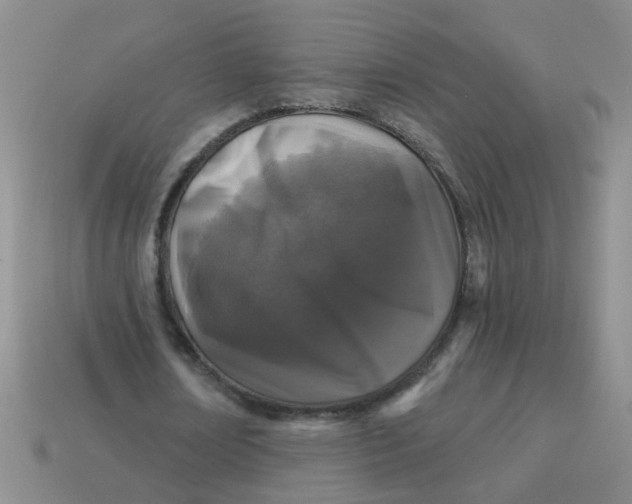 X0000113880674200910151314