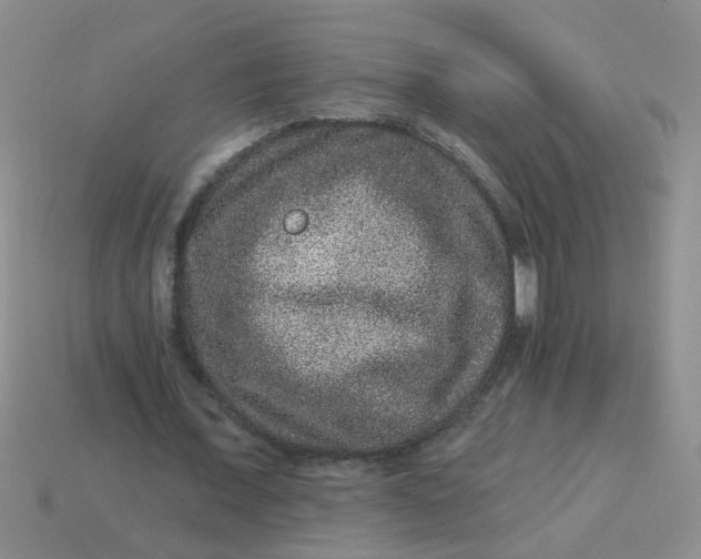 X0000113880675200910151314