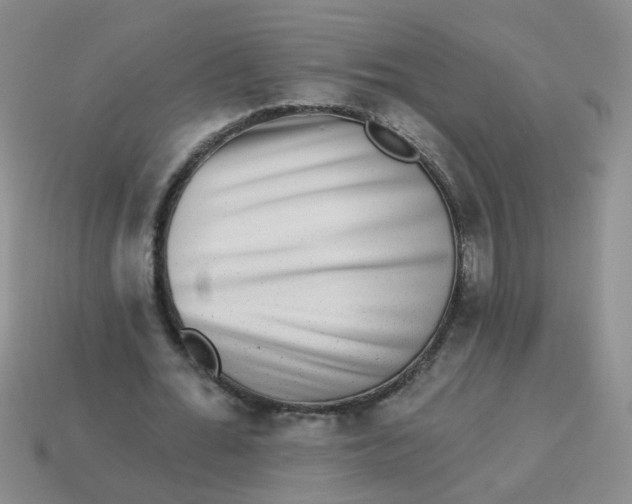 X0000113880676200910151314