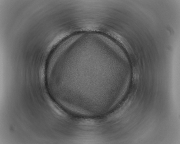 X0000113880677200910151314