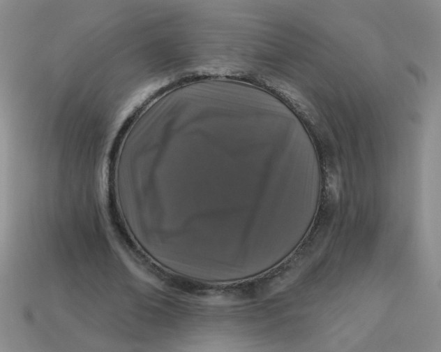 X0000113880678200910151314