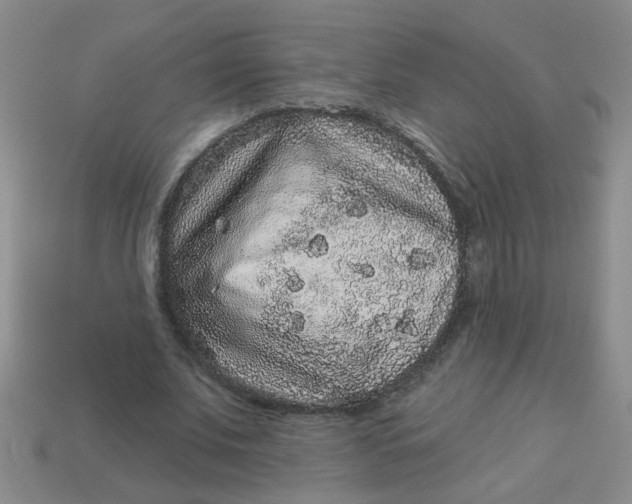 X0000113880679200910151314