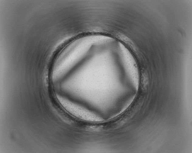 X0000113880680200910151314