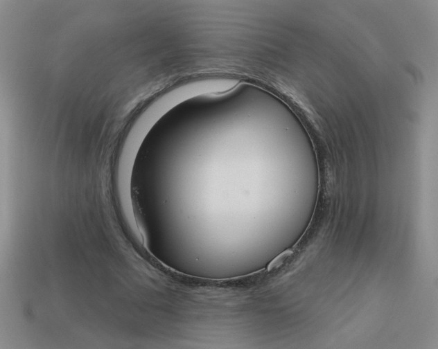 X0000113880681200910151314